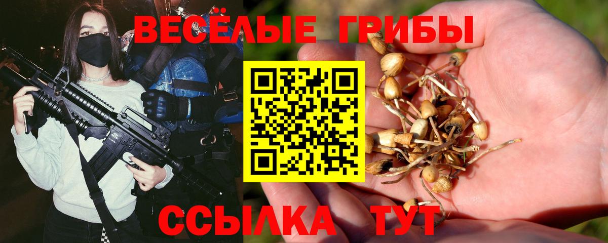 Псилоцибиновые грибы ЛСД Добрянка